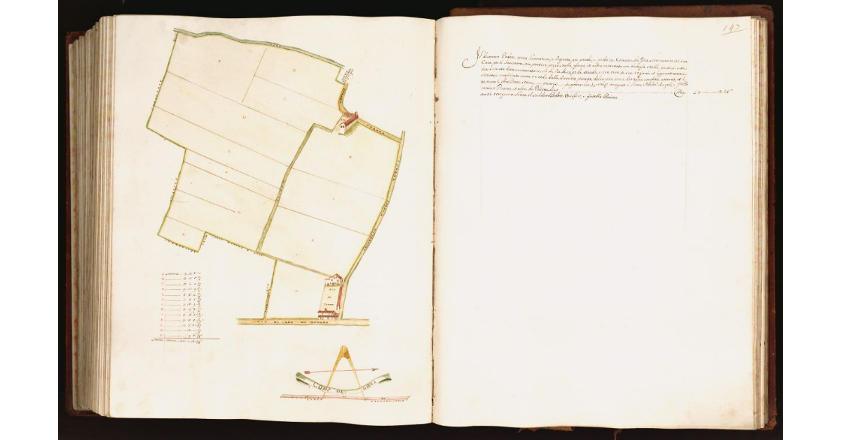 [Pianta di un podere situato nel comune di Gora]