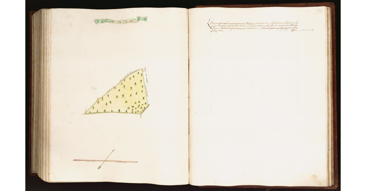 [Pianta di una una partita di terra posta nel comune di Cecina]