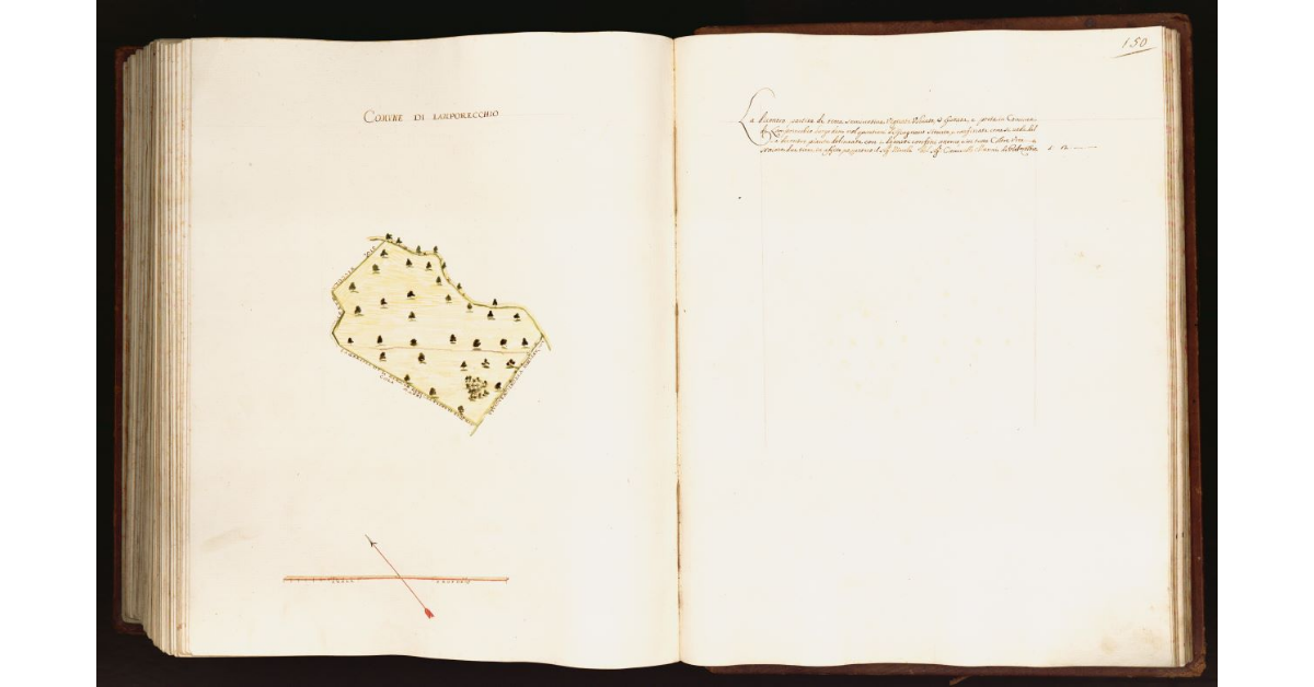 [Pianta di una partita di terra posta nel comune di Lamporecchio]