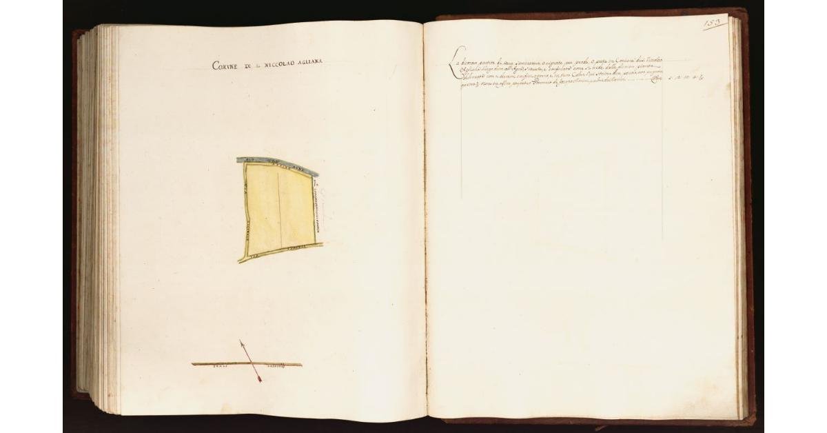 [Pianta di una partita di terra situata nel comune di S. Niccolao Agliana]