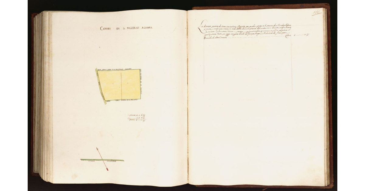 [Pianta di una partita di terra situata nel comune di S. Niccolao Agliana]