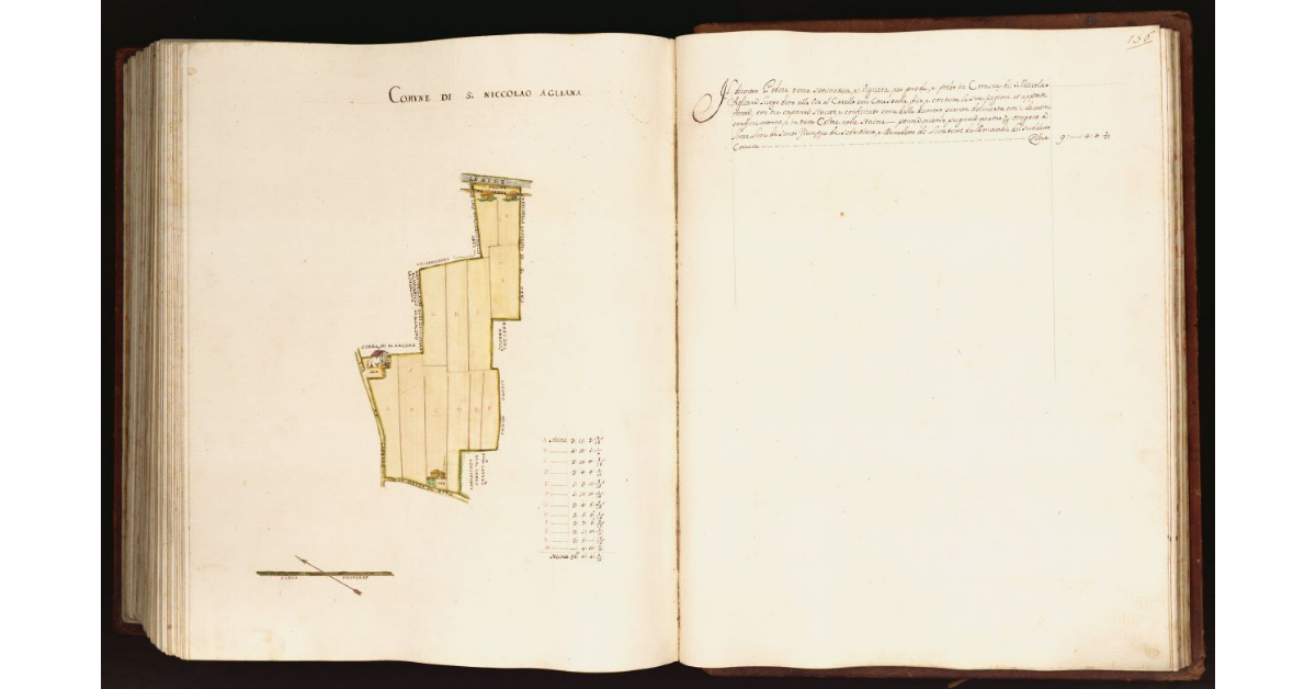 [Pianta di un podere situato nel comune di S. Niccolao Agliana]