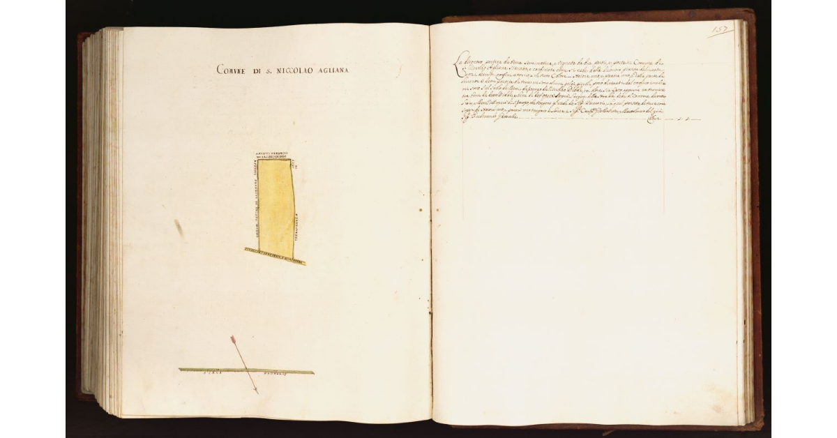 [Pianta di una partita di terra situata nel comune di S. Niccolao Agliana]
