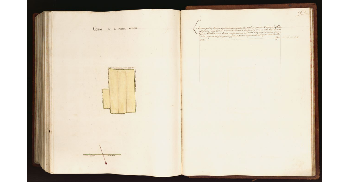 [Pianta di una partita di terra situata nel comune di S. Pietro Agliana]