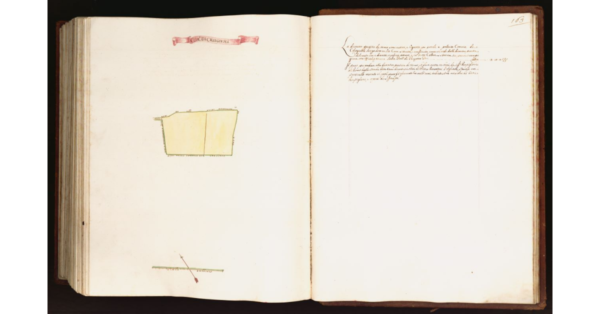 [Pianta di una partita di terra situata nel comune di Ciliegiuole]