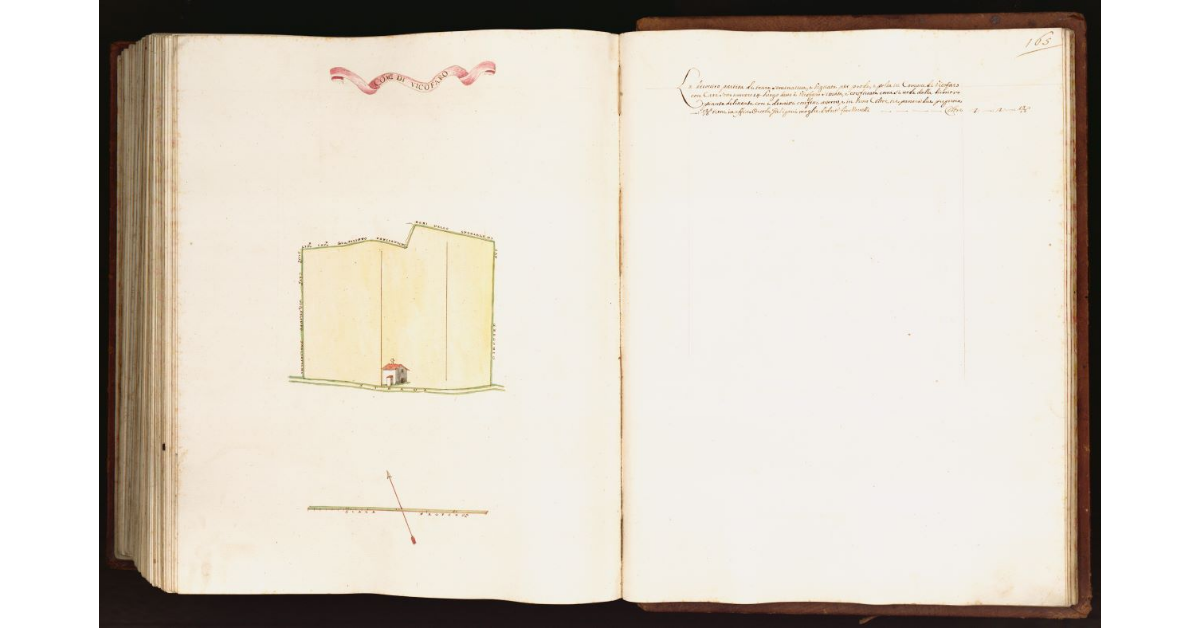 [Pianta di una partita di terra situata nel comune di Vicofaro]