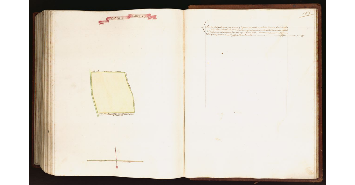 [Pianta di una partita di terra situata nel comune di Pantaleo]