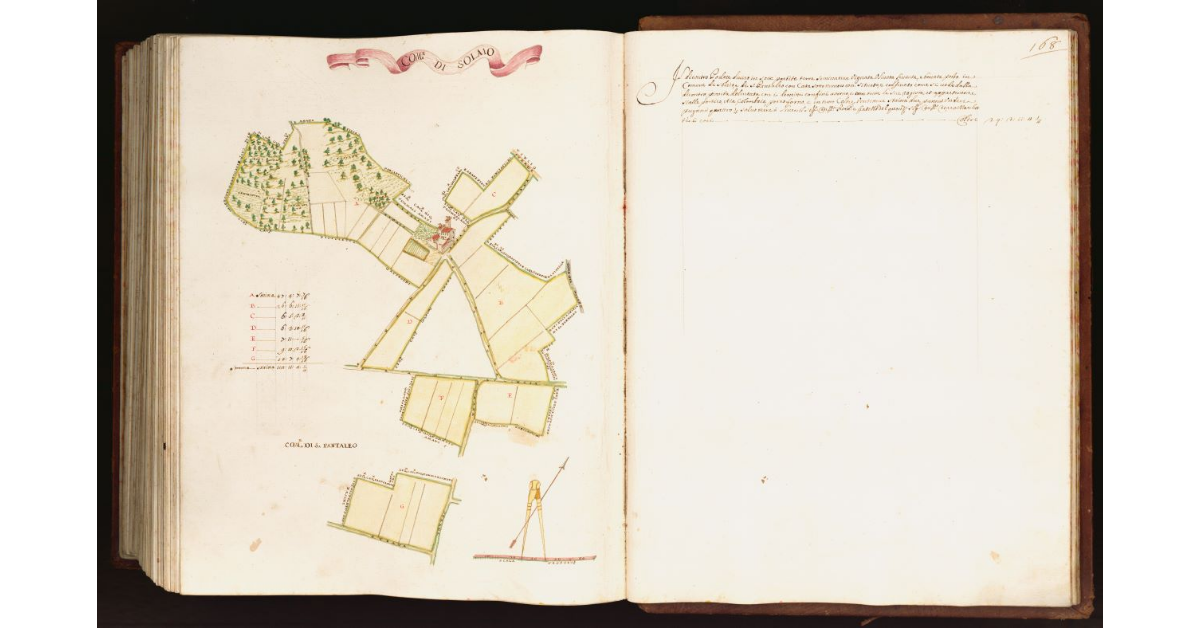 [Pianta di un podere situato nei comuni di S. Pantaleo e Solaio]