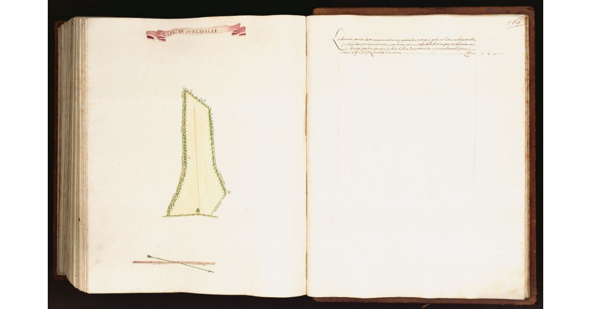 [Pianta di una partita di terra situata nel comune di Serravalle]