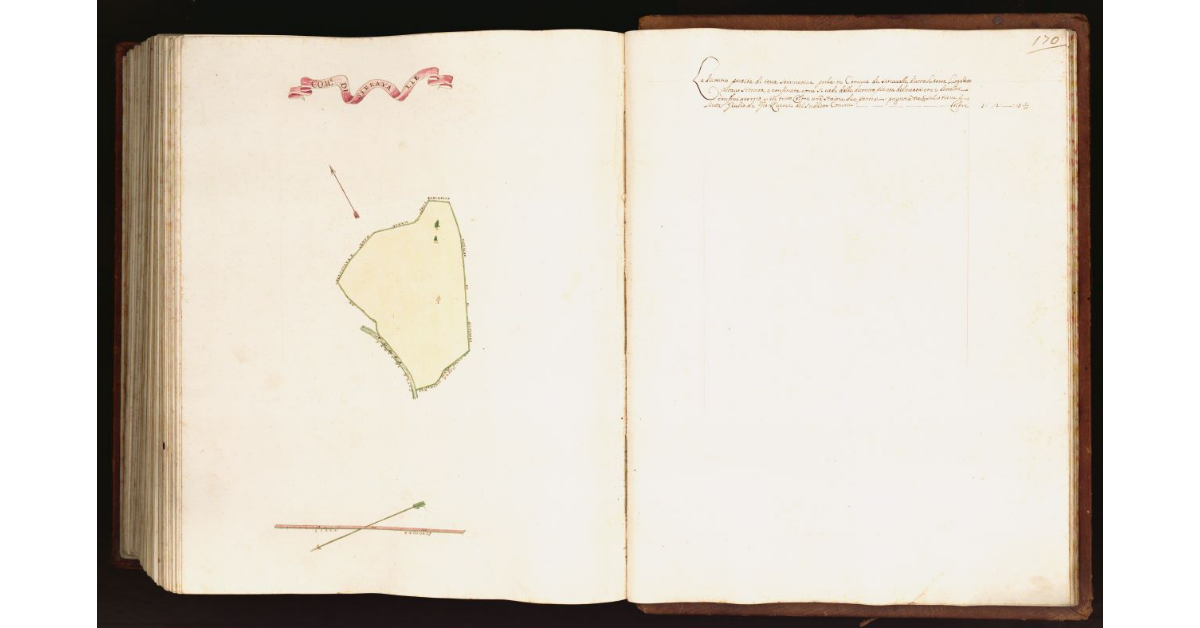 [Pianta di una partita di terra situata nel comune di Serravalle]