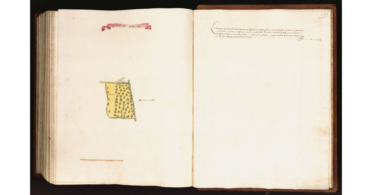 [Pianta di una partita di terra situata nel comune di Marliana]