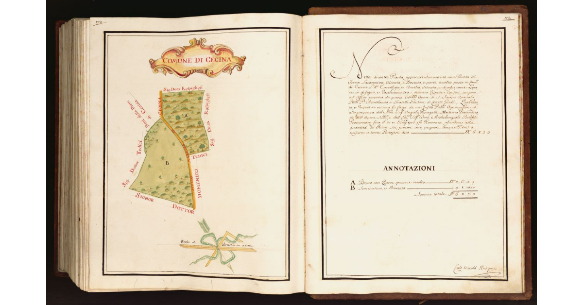 [Pianta di una partita di terra situata nel comune di Cecina]