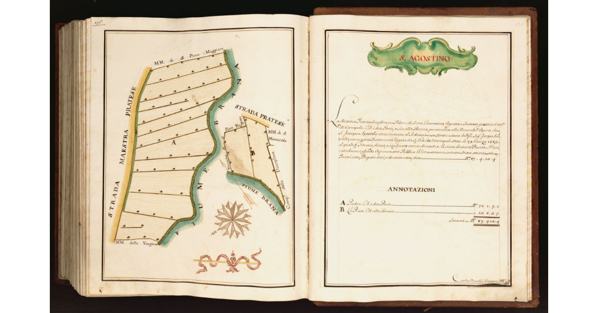 [Pianta di un un podere situato nel comune di Canapale]