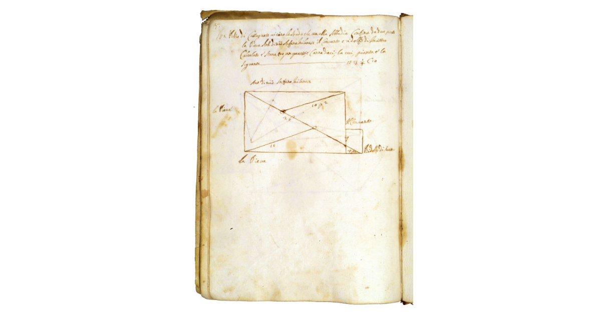 [Castagneto vicino alla strada dell'Abbadia]