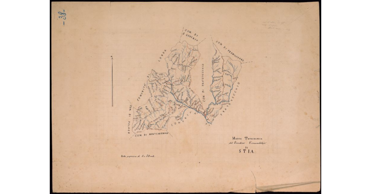 Mappa topografica del territorio comunitativo di Stia