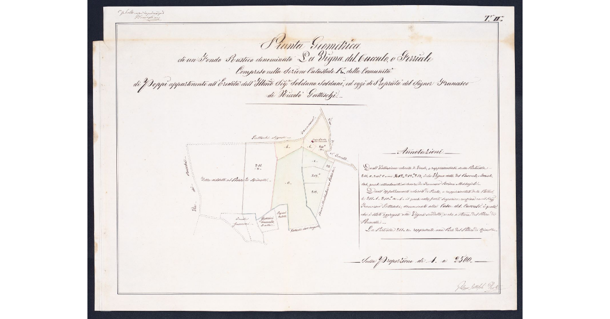 Pianta Geometrica di un fondo rustico denominato La Vigna del Cucculo o Ferriale compreso nella Sezione catastale K della Comunità di Poppi appartenente all'eredità dell'Ill.mo Sig.e Soldano soldani, ed oggi di proprietà del Signor Francesco di Niccolò Gatteschi