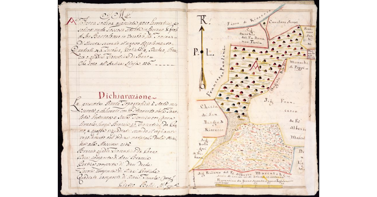 [Mappa di un tenimento agricolo lungo il Fosso di Riosecco e nel popolo di San Biagio a Riosecco]