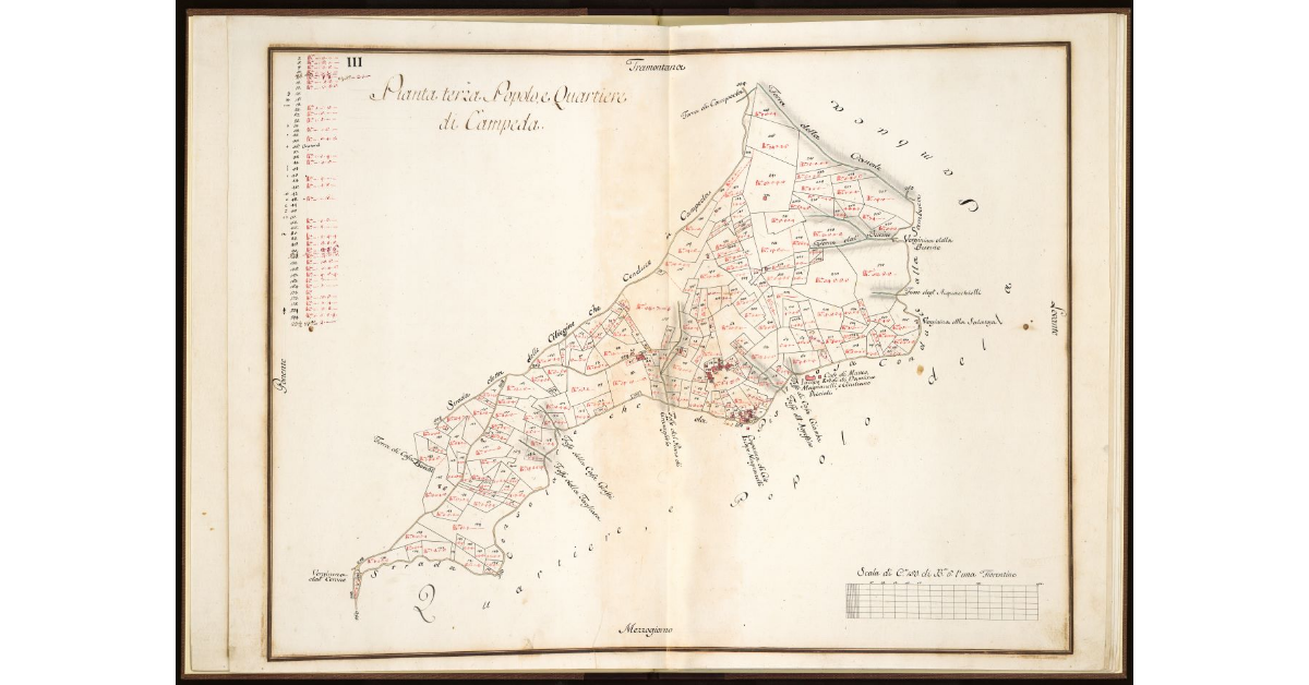Pianta Terza. Popolo e Quartiere di Campeda