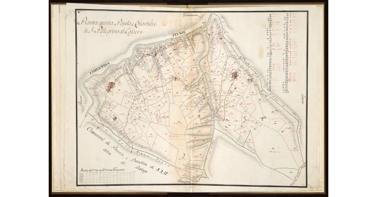 Pianta quinta. Popolo e Quartiere di S. Pellegrino al Cassero