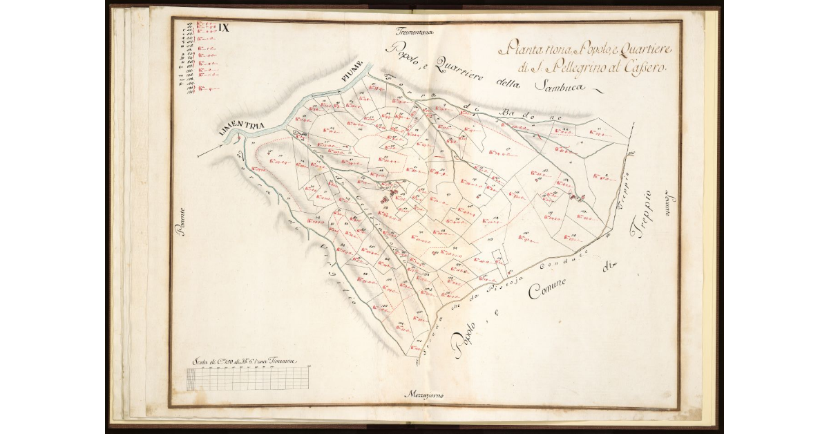 Pianta Nona. Popolo e Quartiere di S. Pellegrino al Cassero