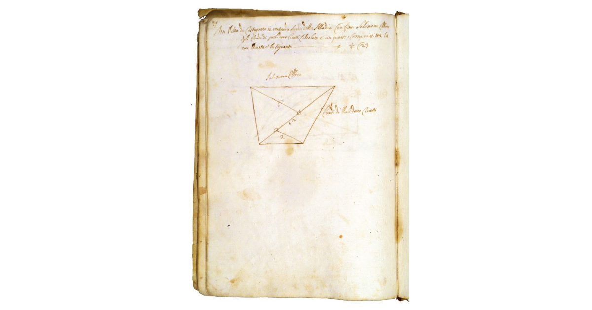 [Castagneto in contrada "la strada dell'Abbadia"]