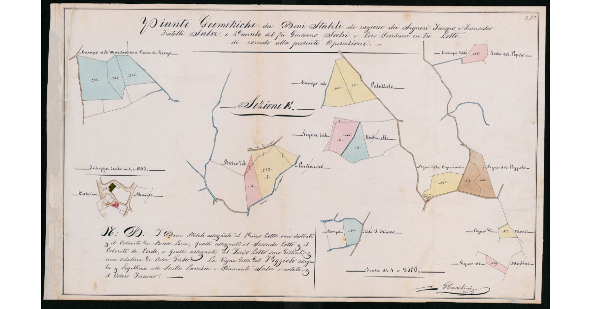 Piante Geometriche dei Beni Stabili di ragione dei Signori Iacopo e Francesco Fratelli Salvi, e Daniele del fu Giuliano Salvi, e loro divisione in tre Lotti di corredo alla presente Operazione
