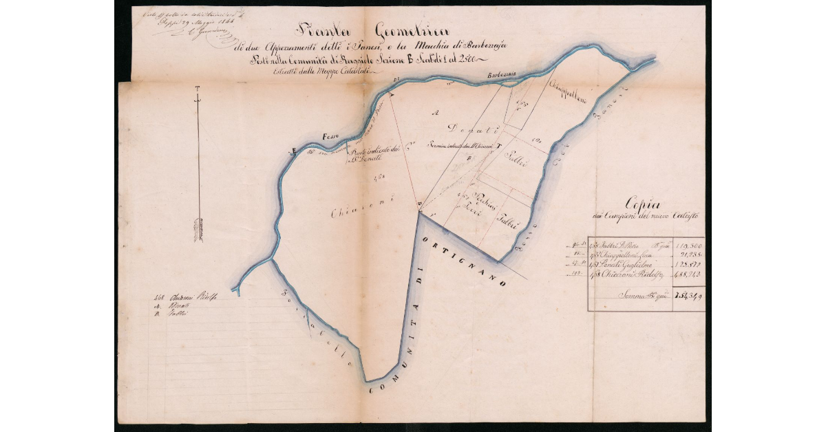 Pianta Geometrica dei due Appezzamenti detti i Tanesi, e la Macchia di Barbozzaja posti nella Comunità di Raggiolo Sezione B Scala di 1 al 2500 Estratti dalle Mappe Catastali