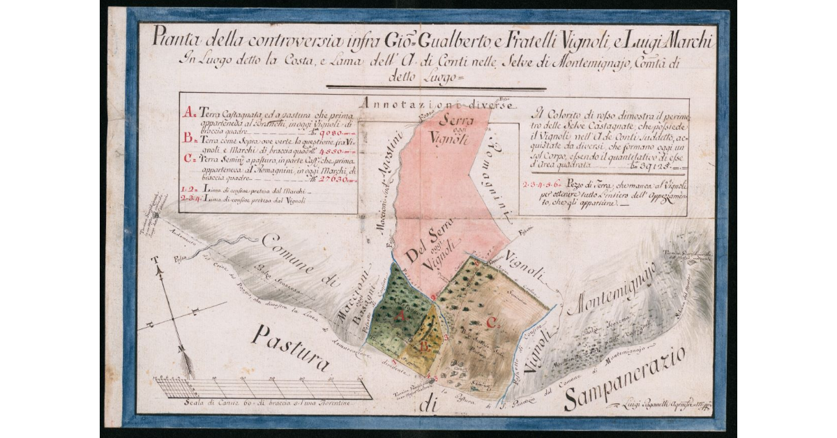 Pianta della controversia infra Gio. Gualberto e Fratelli Vignoli e Luigi Marchi per luogo detto la Costa, e Lama dell'A. di Conti nelle selve di Montemignajo, Comunità di detto Luogo