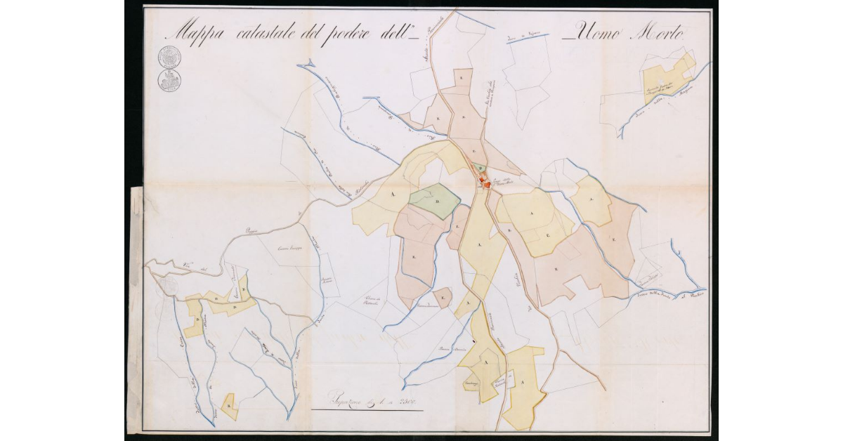 Mappa catastale del Podere dell'Uomo Morto