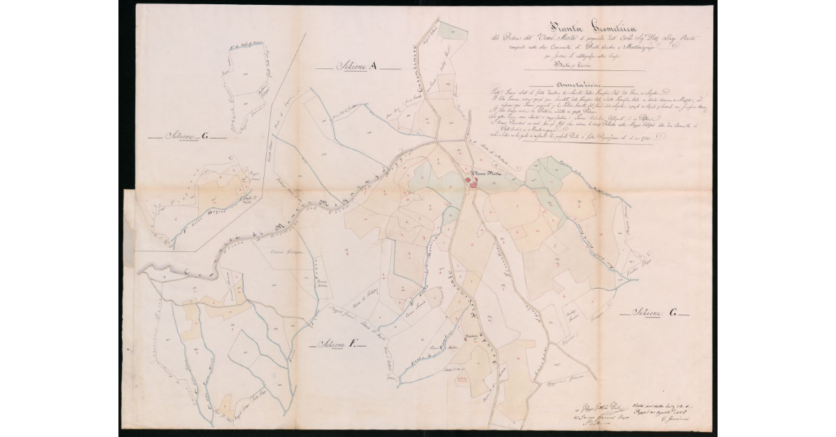 Pianta Geometrica del Podere dell'Uomo Morto di proprietà dell'Eccellentissimo Signor Dottor Luigi Berti comprato nelle due Comunità di Pratovecchio e Montemignajo per servire all'intelligenza della causa Berti, e Corsi