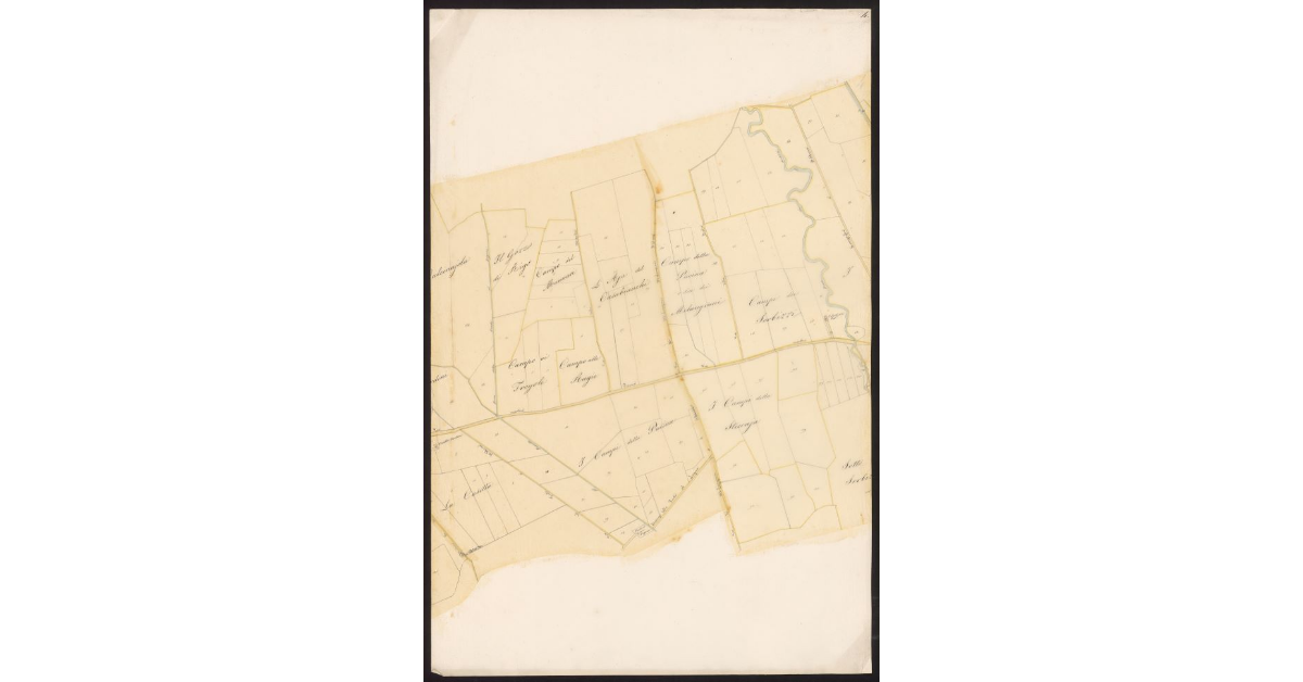 Andamento della Via Emilia nelle Comunità di Gherardesca e Bibbona dal ponte sulla Cecina al Fitto per le tenute Gherardesca e Alliata fino alla Torre San Vincenzo...[Foglio 4]