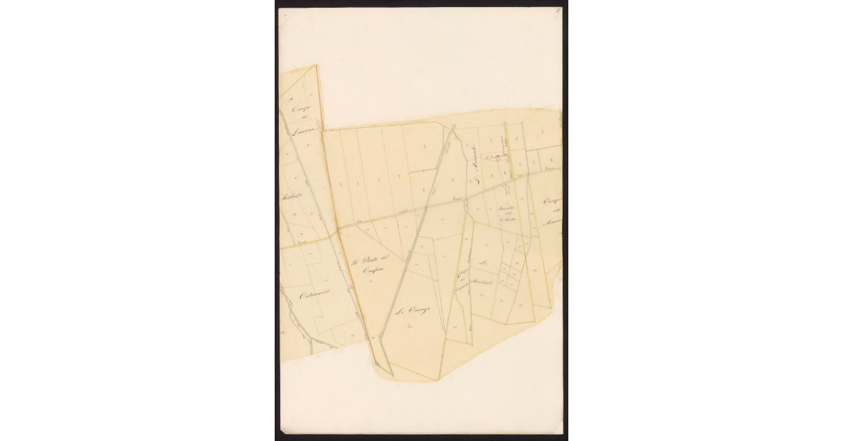 Andamento della Via Emilia nelle Comunità di Gherardesca e Bibbona dal ponte sulla Cecina al Fitto per le tenute Gherardesca e Alliata fino alla Torre San Vincenzo...[Foglio 5]