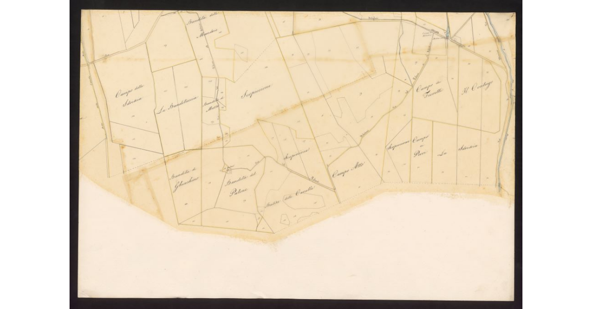 Andamento della Via Emilia nelle Comunità di Gherardesca e Bibbona dal ponte sulla Cecina al Fitto per le tenute Gherardesca e Alliata fino alla Torre San Vincenzo...[Foglio 7]