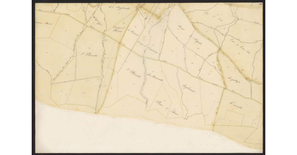 Andamento della Via Emilia nelle Comunità di Gherardesca e Bibbona dal ponte sulla Cecina al Fitto per le tenute Gherardesca e Alliata fino alla Torre San Vincenzo...[Foglio 11]