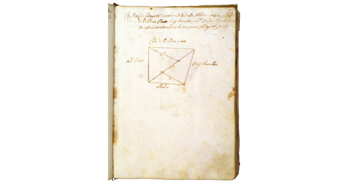 [Castagneto in contrada "la strada dell'Abbadia"]