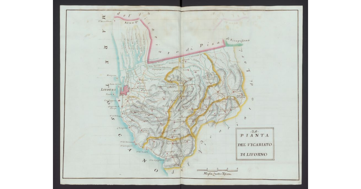 Pianta del Vicariato di Livorno