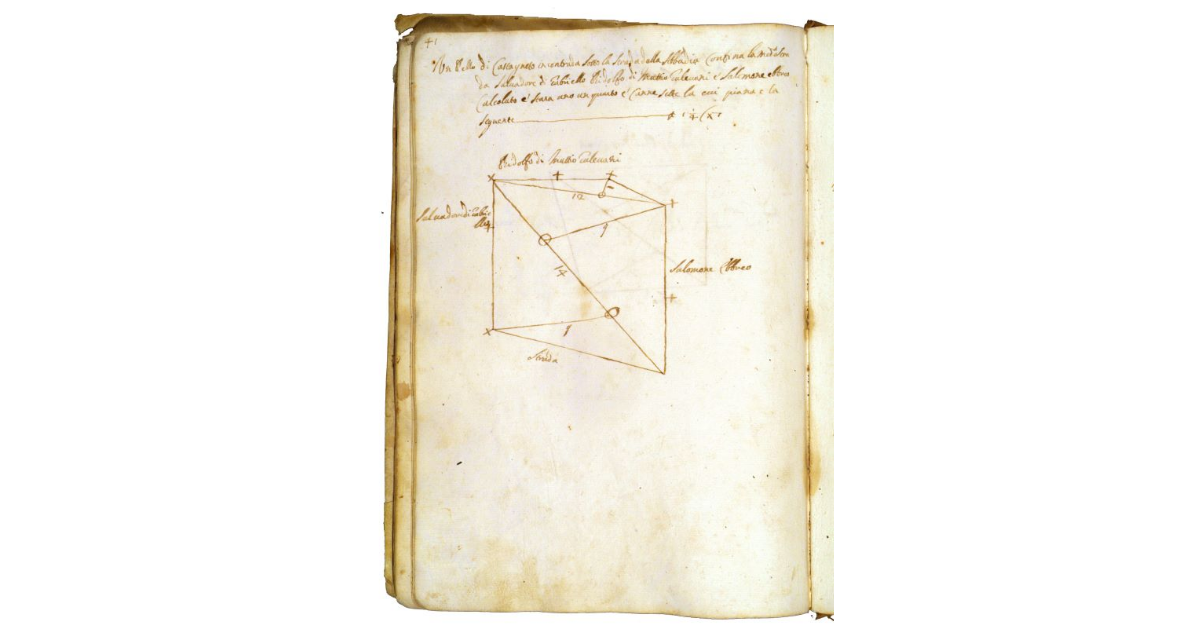 [Castagneto in contrada ''la strada dell'Abbadia'']