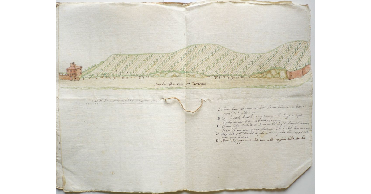 [Strada Fiorentina che dal podere Colombaio conduce allo Stellino nei dintorni di Siena]