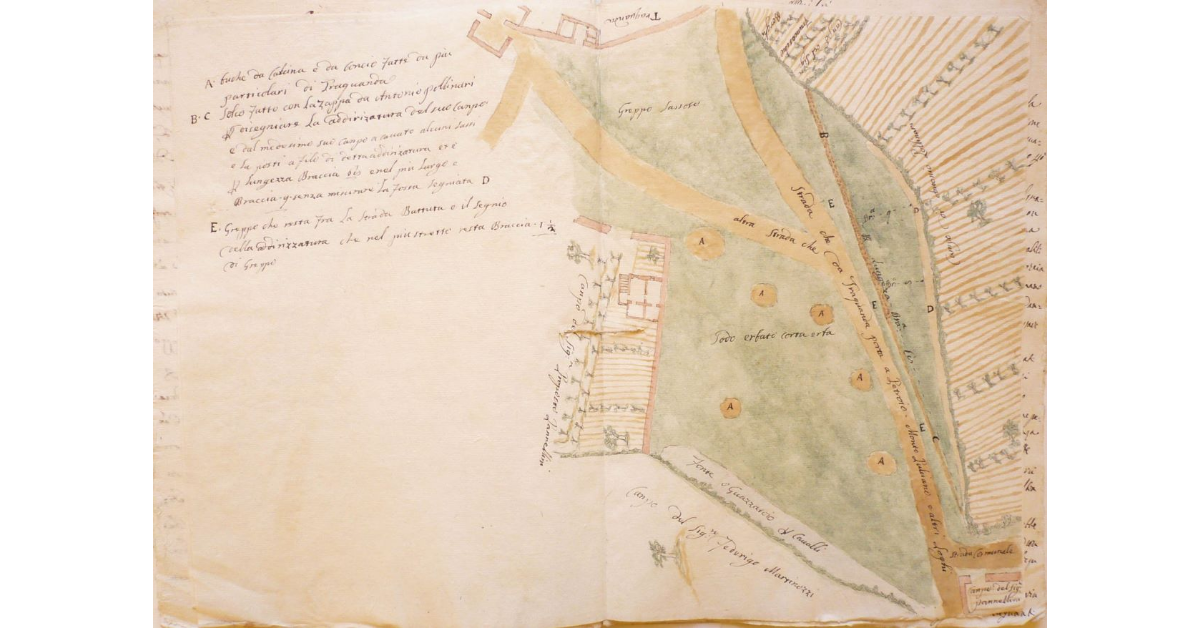 [Strada che da Trequanda porta a Petroio, Montepulciano, Torrita]