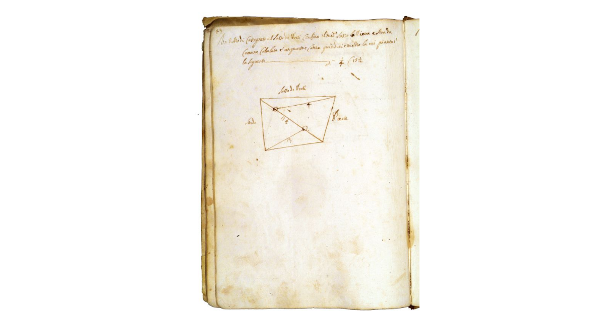 [Castagneto in contrada "Sasso de' preti"]