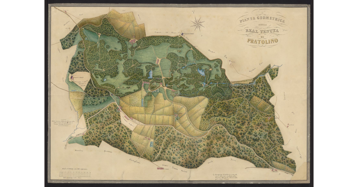 Pianta geometrica della R. Tenuta di Pratolino