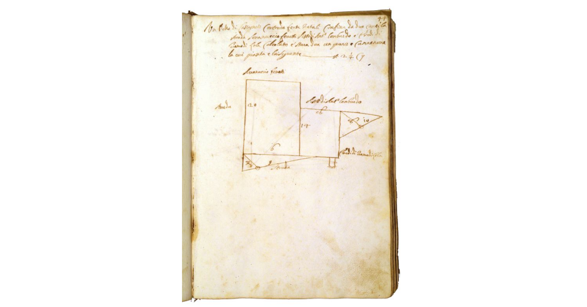 [Castagneto in contrada "Fonte Natali"]