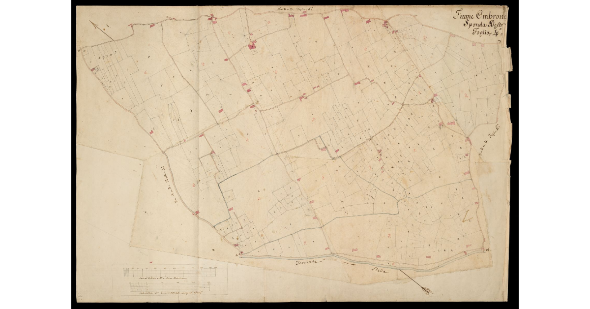 Fiume Ombrone sponda destra Foglio 4°