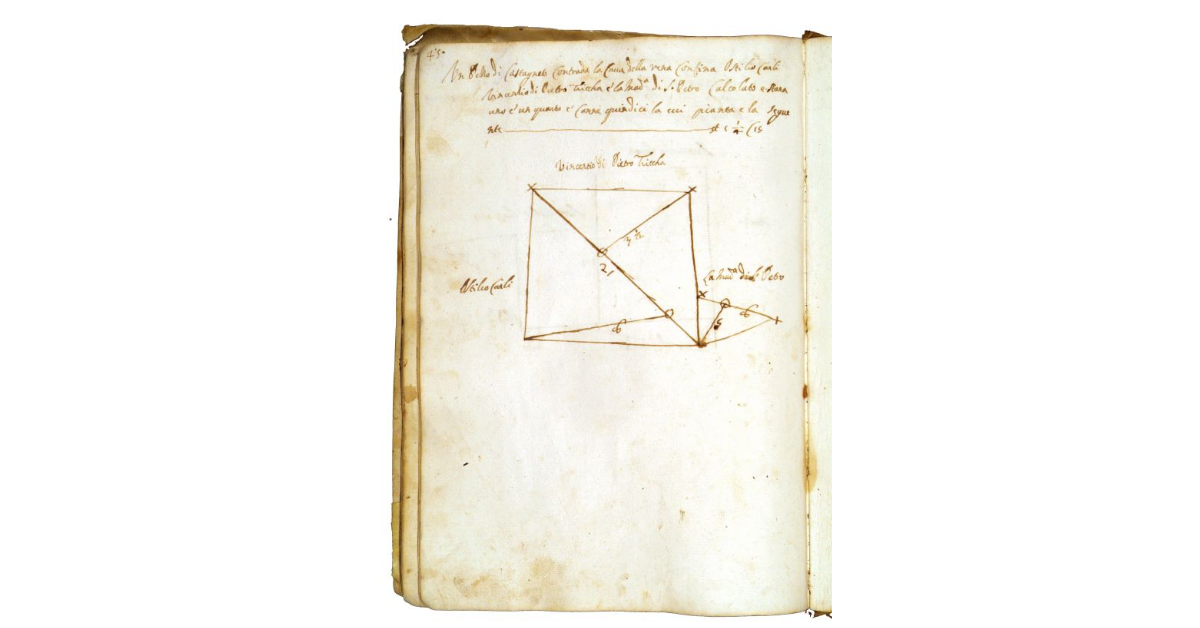 [Castagneto in contrada "la Cava della Vena"]