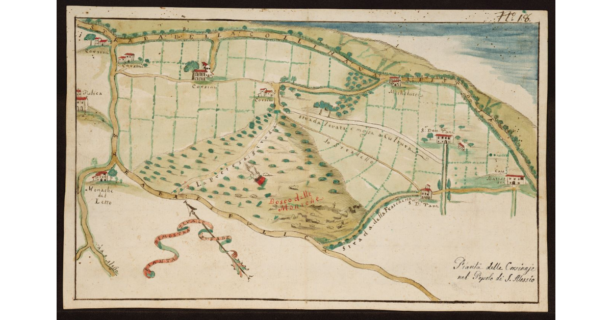 Pianta delle Corsinaje nel Popolo di S. Alessio