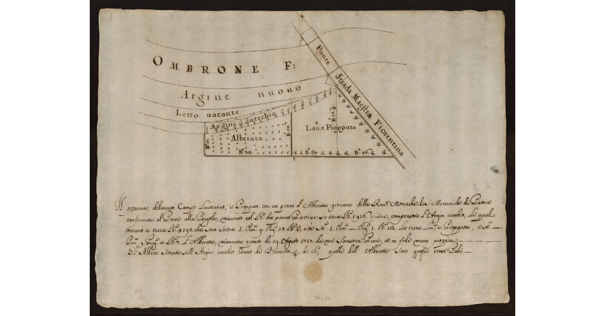 [Pianta dell'Ombrone Nuovo nel Pistoiese con i terreni delle Monache di Mercuriale di Pistoia posti al Ponte alla Pergola accanto alla Strada Fiorentina]