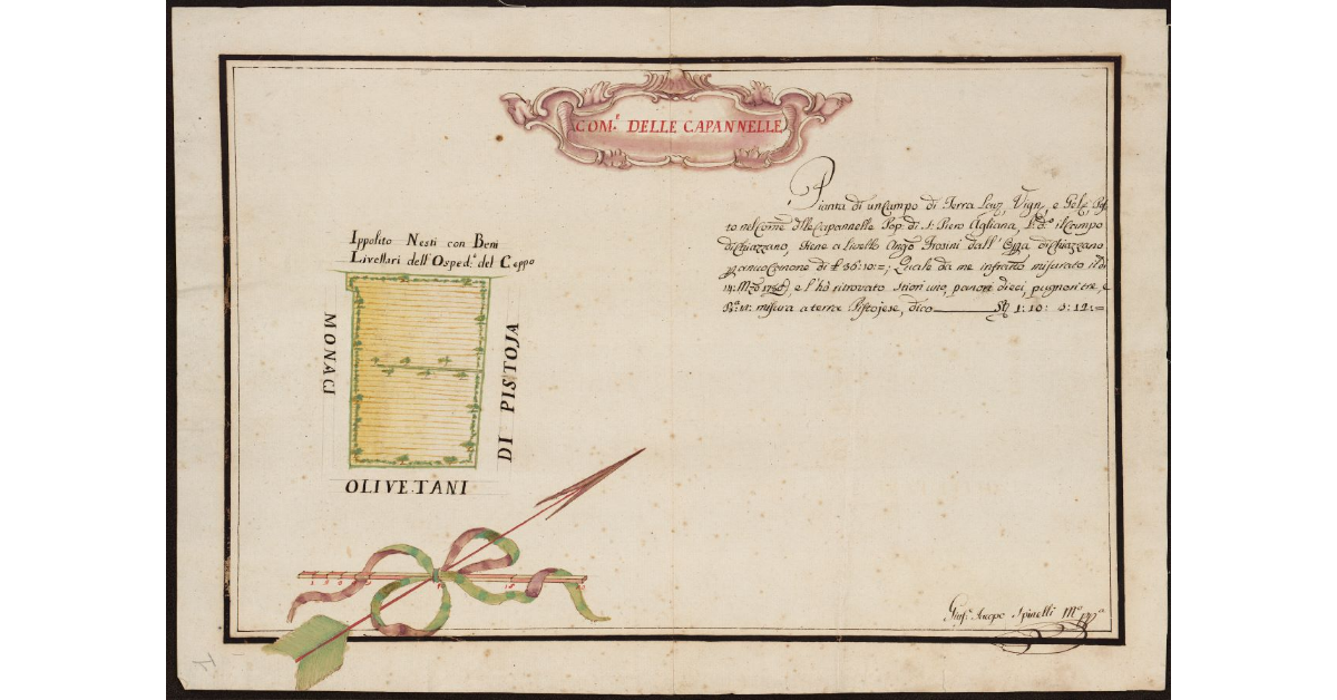 Pianta di un campo di terra lavorativa, vignata e gelsata, posta nel Comune delle Capannelle Popolo di S. Piero Agliana, l.o d.o Il Campo di Chiazzano, tiene a livello Angelo Frosini dall'Opera di Chiazzano