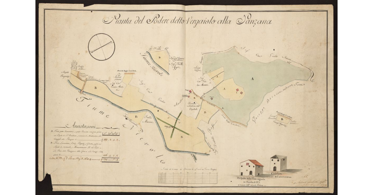 Pianta del Podere detto Vergaiolo alla Panzana