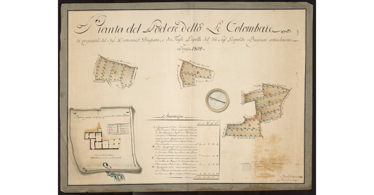 Pianta del Podere detto Le Colombaie di proprietà del Sig.e Domenico Bugiani, e dei figli Pupilli del fù Sig. Leopoldo Bugiani attualmente indiviso