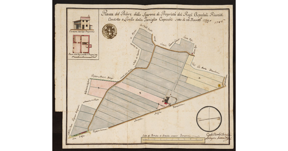 Pianta del Podere dello Sperone di proprietà dei Regi Ospedali Riuniti condotto a Livello dalla Famiglia Capecchi sotto dì 26 Novembre 1779